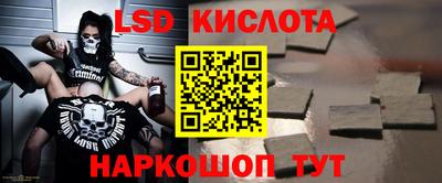 амф Можга