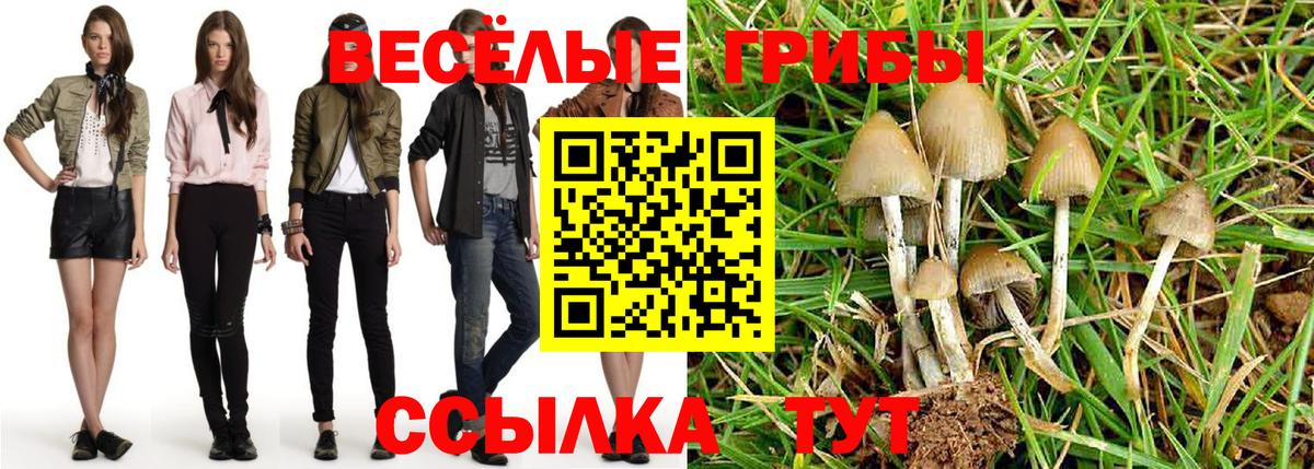 Черняховск  Псилоцибиновые грибы ЛСД  Вход с VPN 