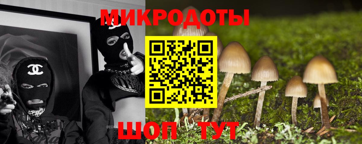 Галлюциногенные грибы мицелий Черняховск